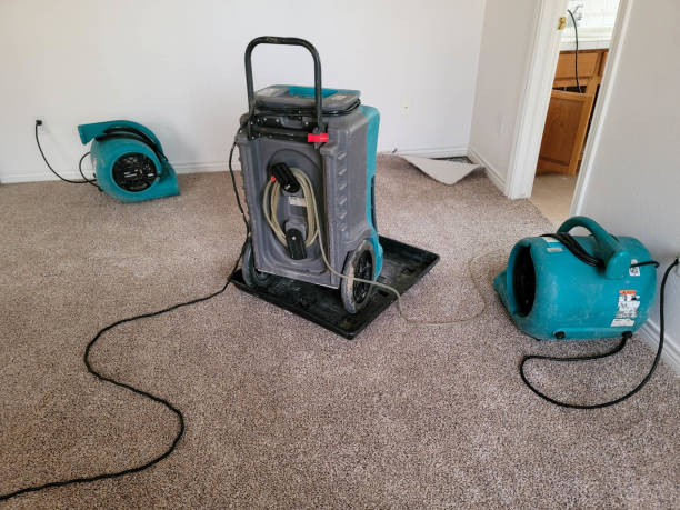 Best Sewage cleanup and water damage restoration  in Talpa, NM