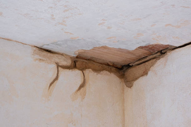 Best Flooded house restoration  in Talpa, NM