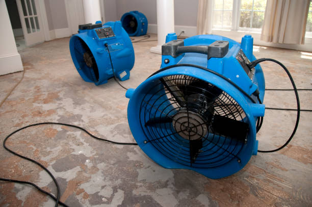 Best Water damage contractors near me  in Talpa, NM